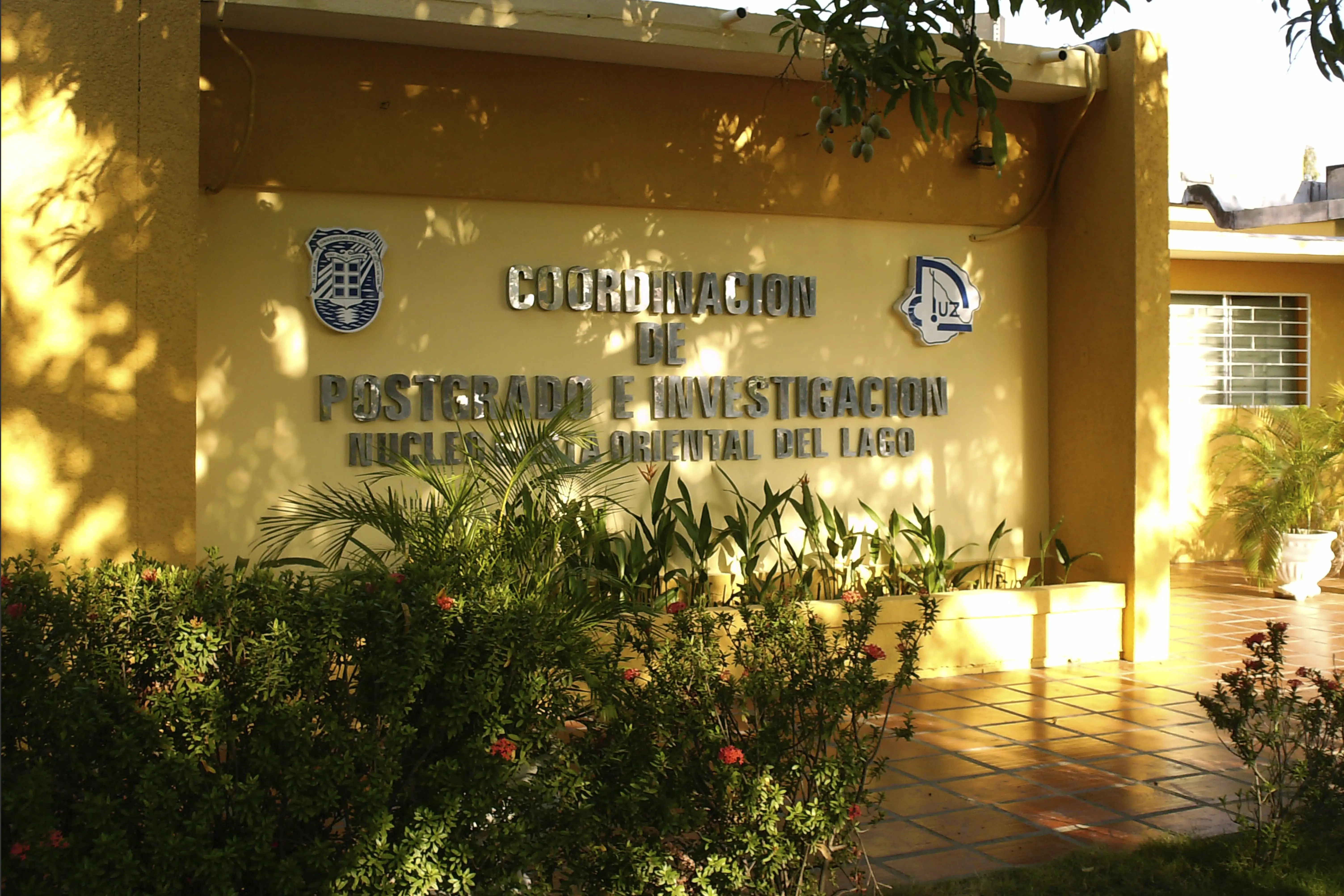 Formación académica